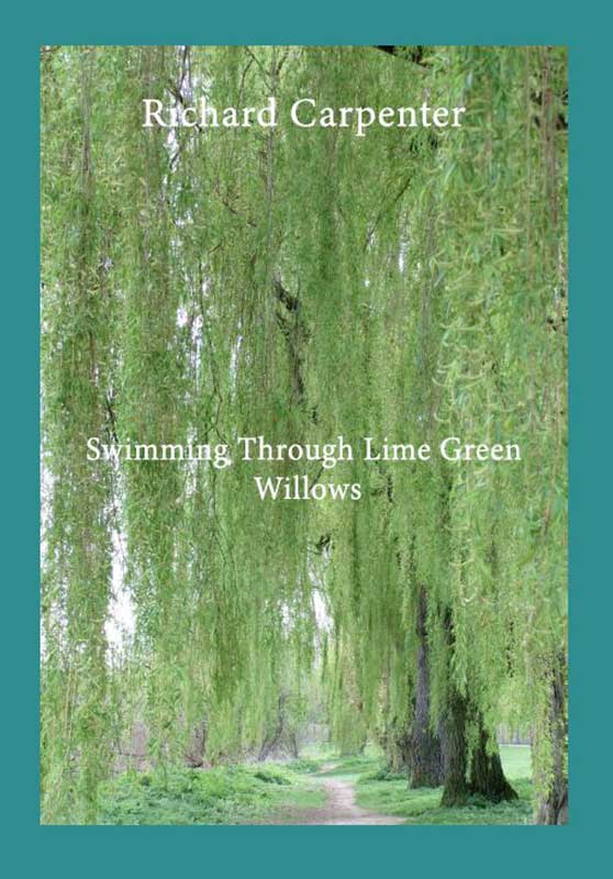 Swimming Through Lime Green Willows
